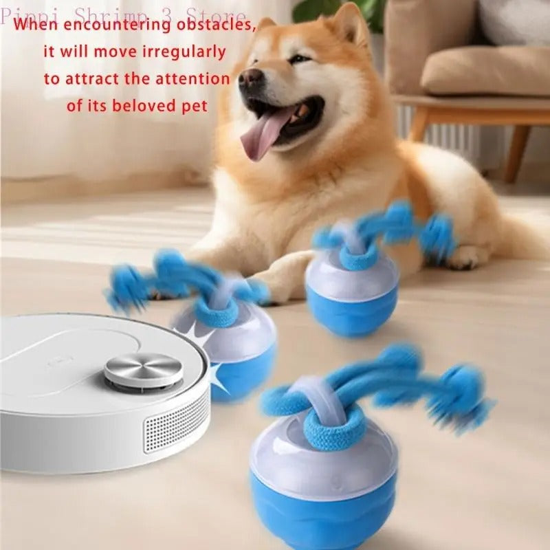 Automatic USB Rechargeable Dog Toy Ball β Active Indoor Entertainment