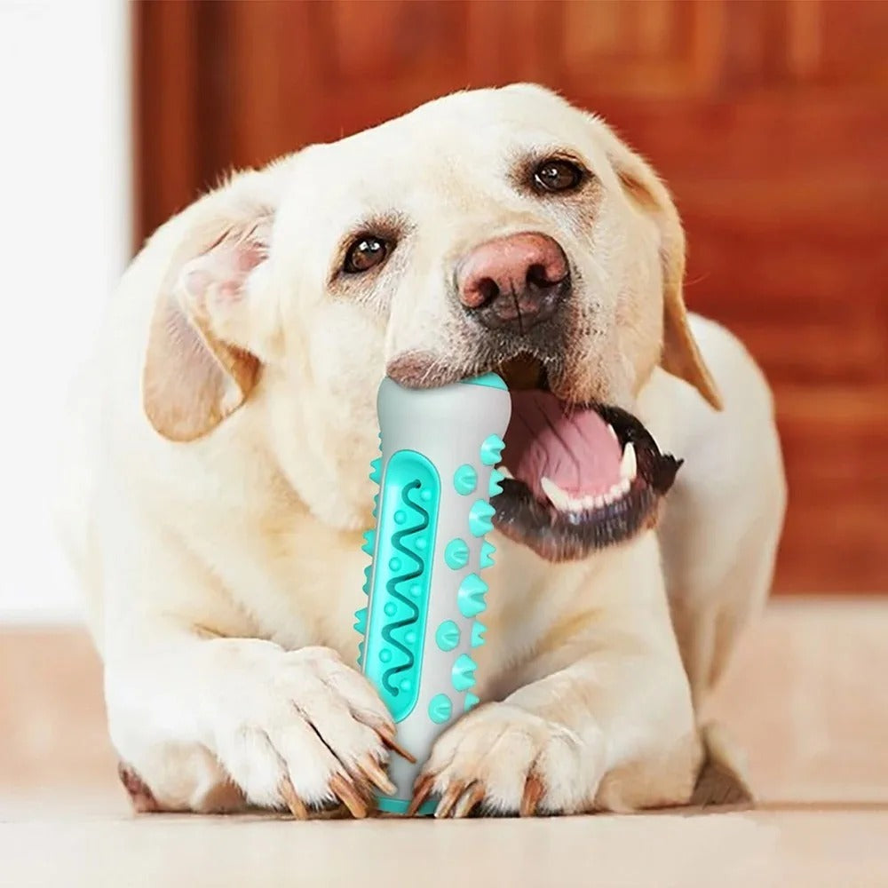 TPR Large Dog Toothbrush β Durable, Bite-Resistant Chew & Anxiety Relief Toy