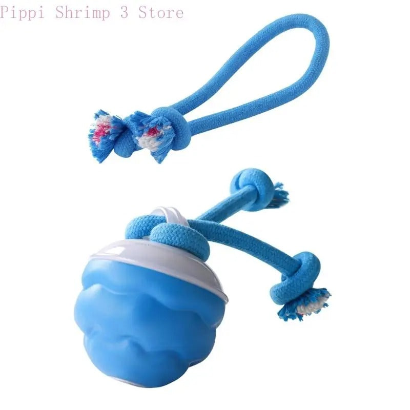Automatic USB Rechargeable Dog Toy Ball β Active Indoor Entertainment