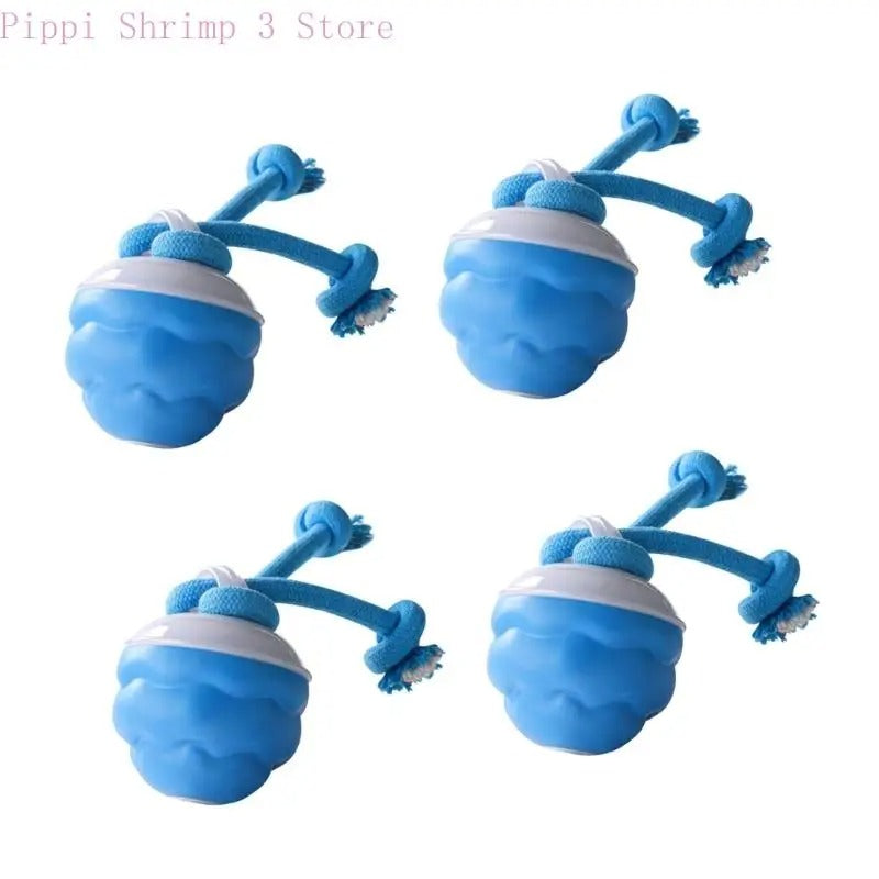 Automatic USB Rechargeable Dog Toy Ball β Active Indoor Entertainment