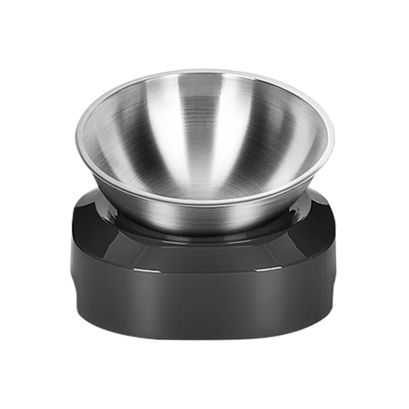 Creative Inclined Stainless Steel Feeding Bowl for Kittens & Puppies | Pet Food & Water Feede