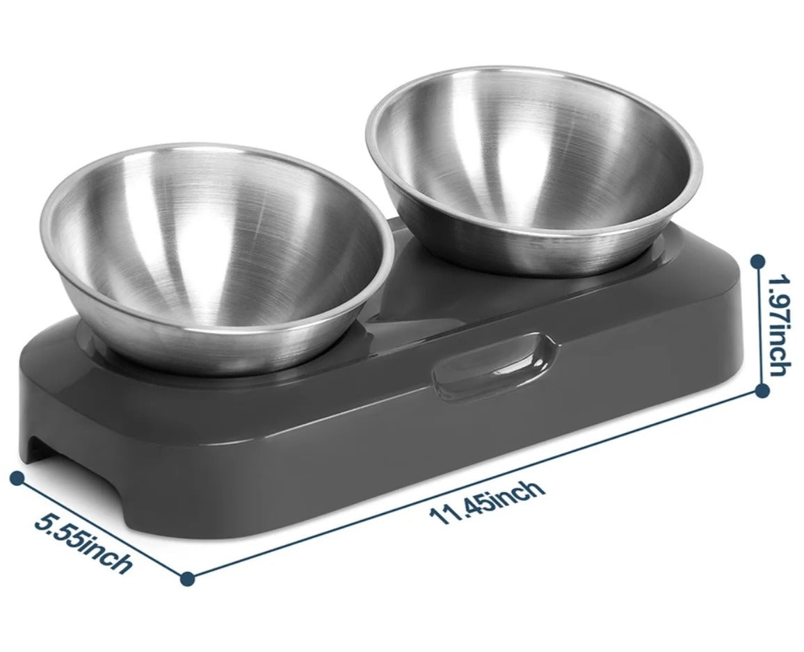 Creative Inclined Stainless Steel Feeding Bowl for Kittens & Puppies | Pet Food & Water Feede