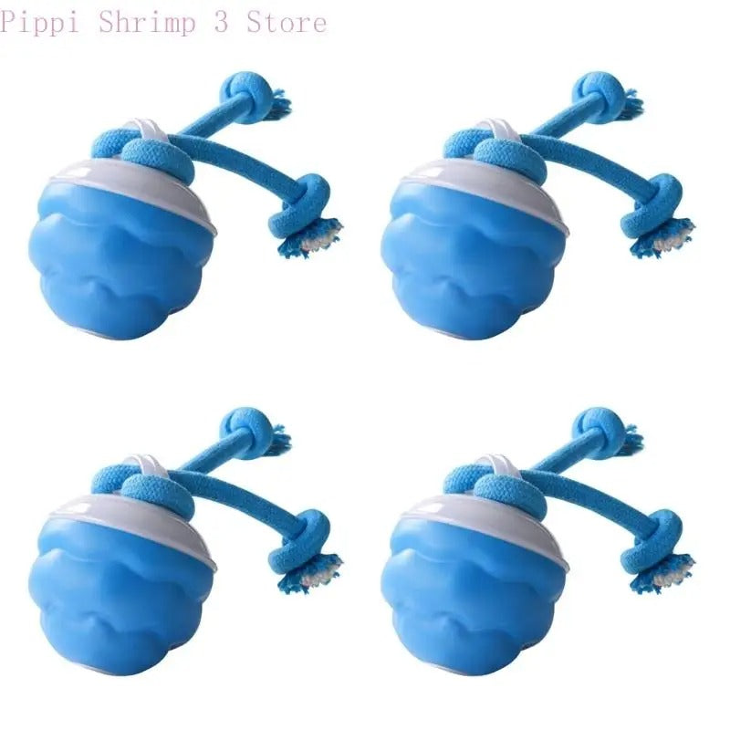 Automatic USB Rechargeable Dog Toy Ball β Active Indoor Entertainment