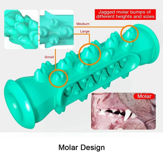 TPR Large Dog Toothbrush – Durable, Bite-Resistant Chew & Anxiety Relief Toy