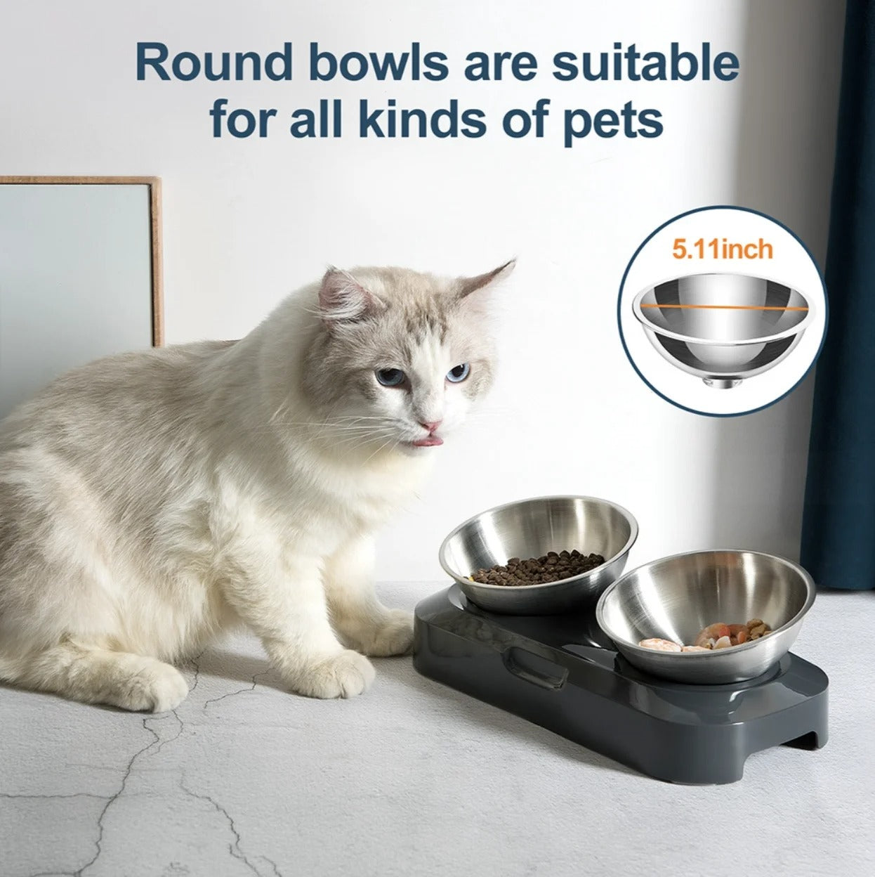 Creative Inclined Stainless Steel Feeding Bowl for Kittens & Puppies | Pet Food & Water Feede