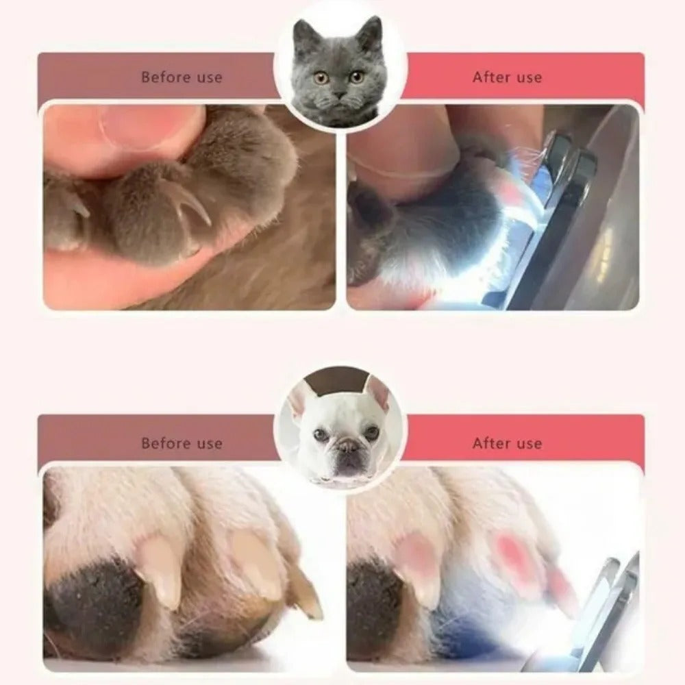 Pet Nail Clipper with LED Light – Dog & Cat Nail Cutter Grooming Tool