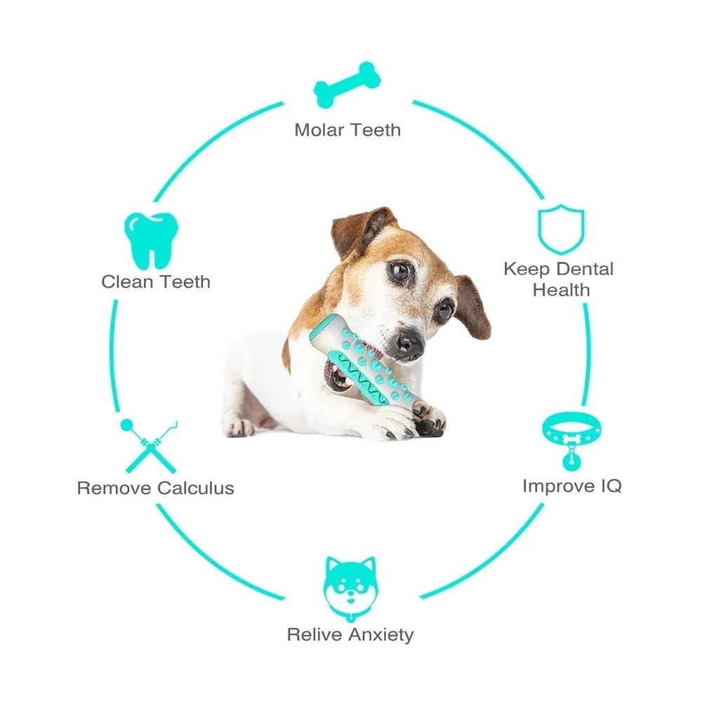 TPR Large Dog Toothbrush – Durable, Bite-Resistant Chew & Anxiety Relief Toy