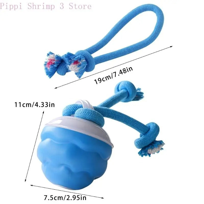 Automatic USB Rechargeable Dog Toy Ball – Active Indoor Entertainment